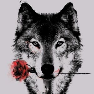 Meet your Posher, Maritza